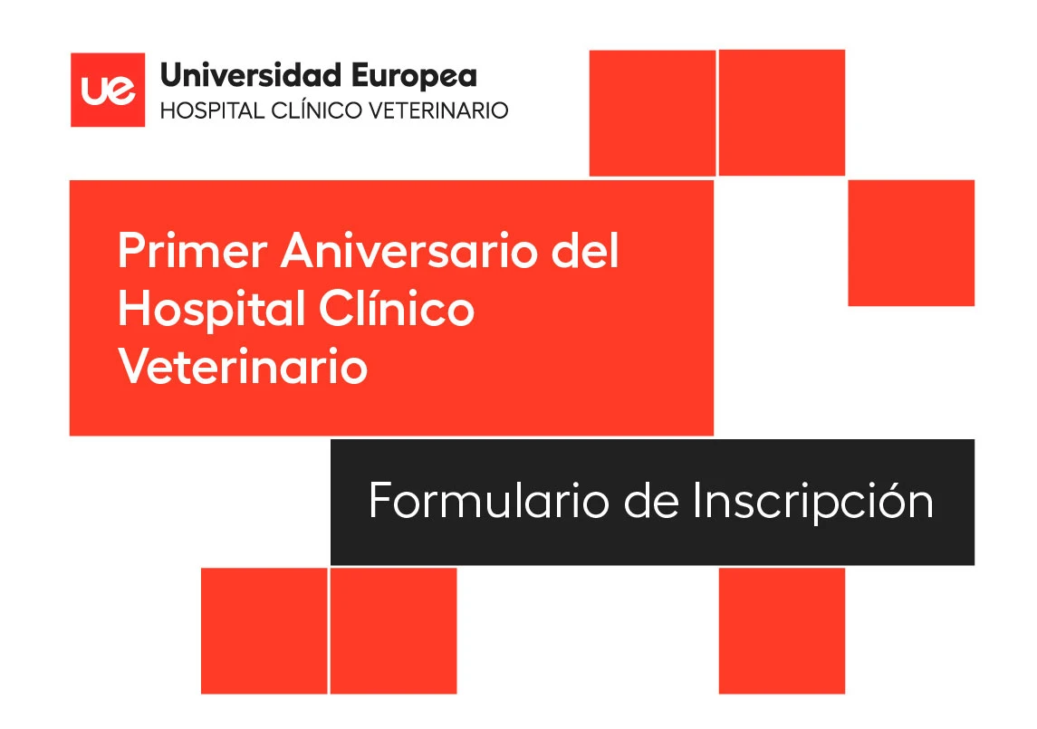 Universidad Europea